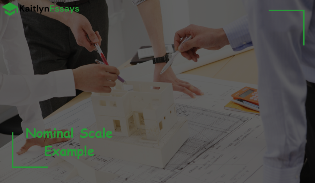 Nominal Scale Examples: Definition and Real-Life Applications